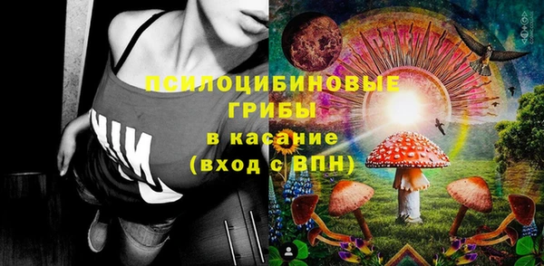 шишки Алексин
