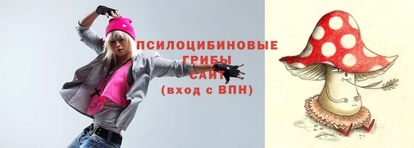 МДПВ Алзамай