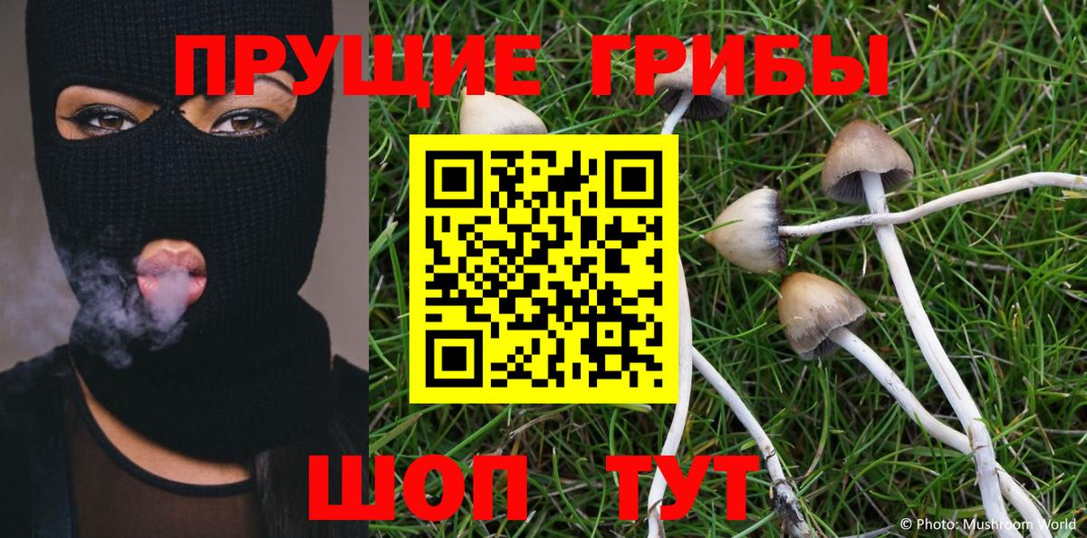 что такое наркотик  Галлюциногенные грибы GOLDEN TEACHER  Белореченск  Вход с VPN  Псилоцибиновые грибы Psilocybe 